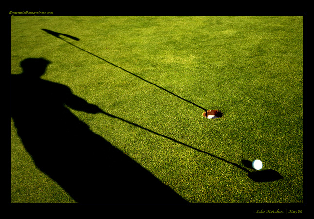 DP Blog